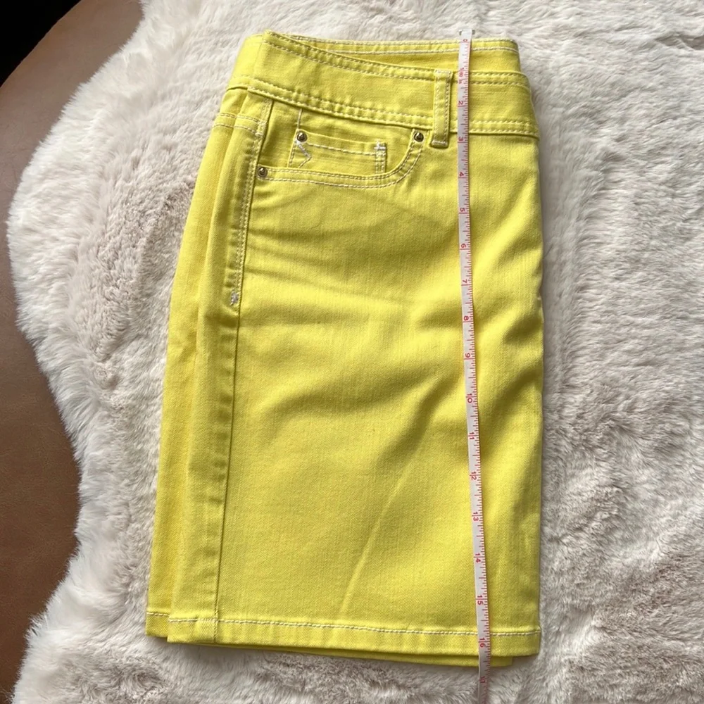 CACHE Skirt (CLST)‎